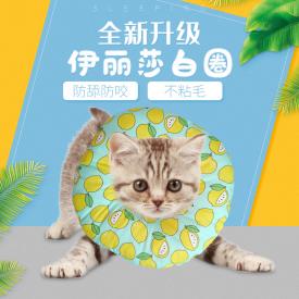 伊丽莎白圈宠物公母猫狗绝育防咬防舔抓耻辱圈头套猫用一件代发